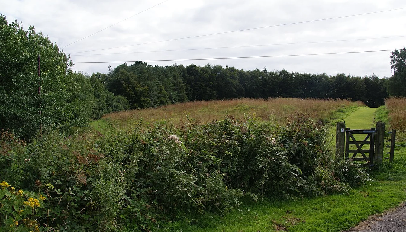 Grass-covered site of the Roman fort beside Doune